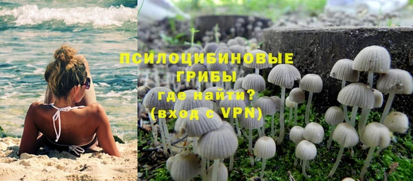таблы Алексин