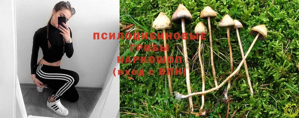 таблы Алексин