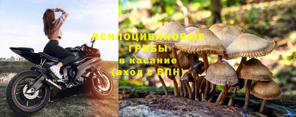 таблы Алексин