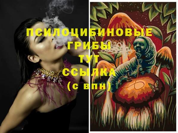 МДМА Алексеевка