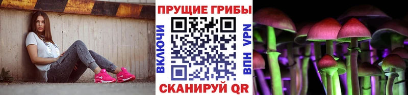OMG маркетплейс  Петровск-Забайкальский  Галлюциногенные грибы GOLDEN TEACHER 